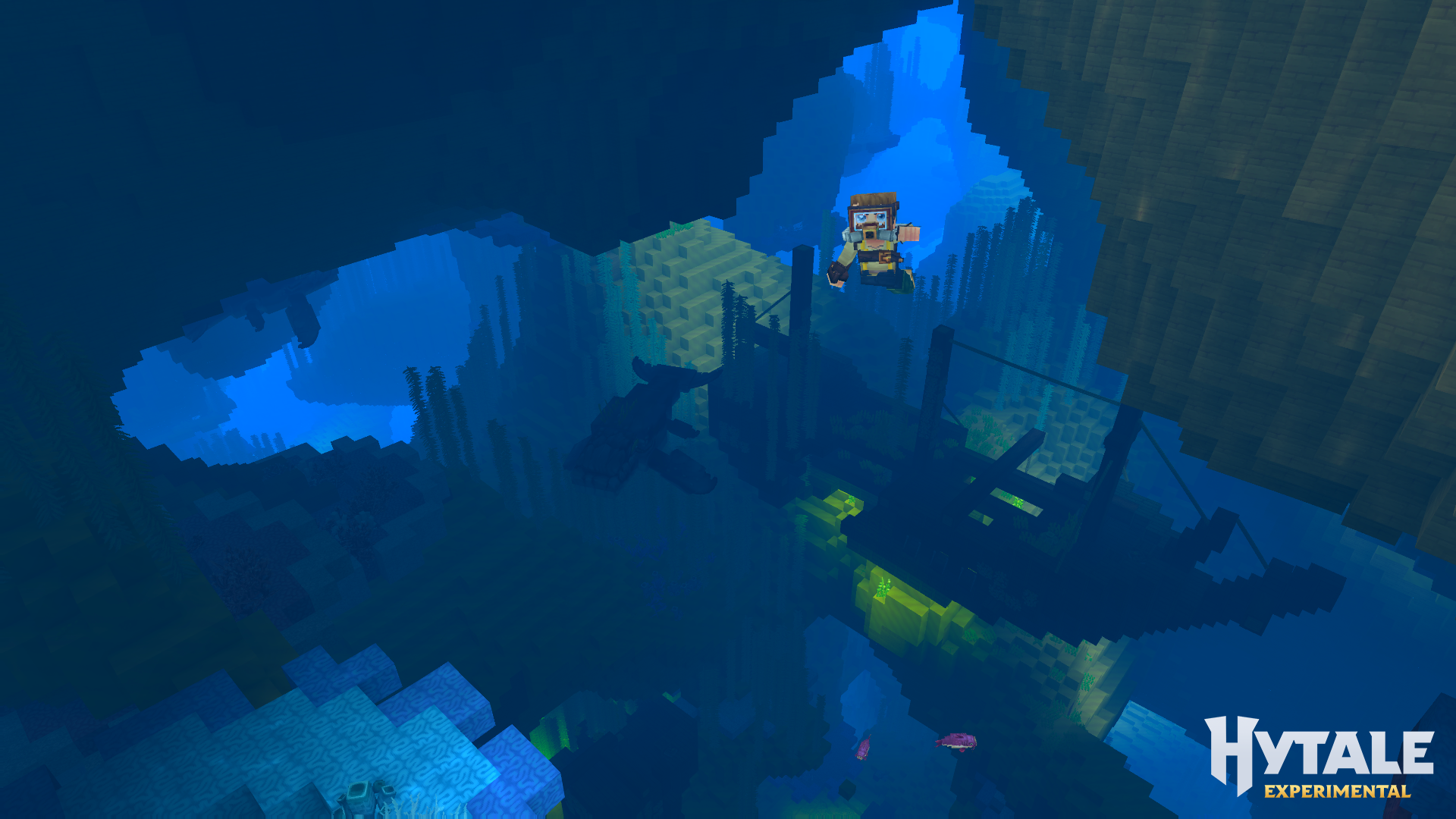 Un complex de peșteri subacvatice include corali tip bracket și o epavă.