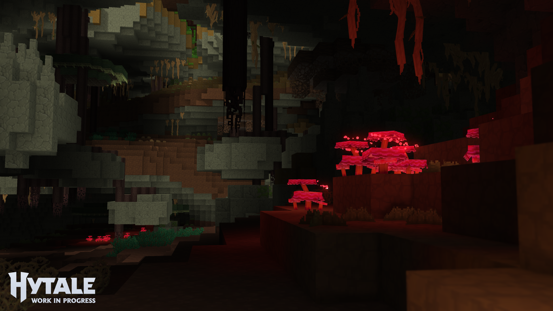 Ciuperci luminoase care apar doar în zone adăpostite.